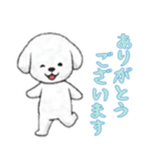 [ありがとうございます]ビションフリーゼ（個別スタンプ：8）