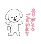 [ありがとうございます]ビションフリーゼ（個別スタンプ：9）