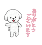 [ありがとうございます]ビションフリーゼ（個別スタンプ：10）
