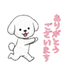 [ありがとうございます]ビションフリーゼ（個別スタンプ：11）