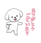[ありがとうございます]ビションフリーゼ（個別スタンプ：12）