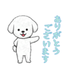 [ありがとうございます]ビションフリーゼ（個別スタンプ：14）