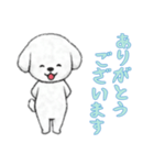 [ありがとうございます]ビションフリーゼ（個別スタンプ：15）