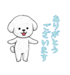 [ありがとうございます]ビションフリーゼ（個別スタンプ：16）