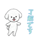 [了解です専用]ビションフリーゼ（個別スタンプ：1）