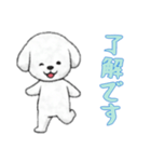[了解です専用]ビションフリーゼ（個別スタンプ：3）