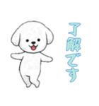 [了解です専用]ビションフリーゼ（個別スタンプ：4）