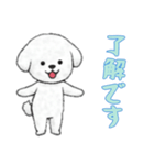 [了解です専用]ビションフリーゼ（個別スタンプ：5）