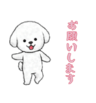 [お願いします専用]ビションフリーゼ（個別スタンプ：1）
