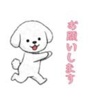[お願いします専用]ビションフリーゼ（個別スタンプ：3）