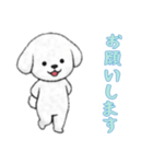 [お願いします専用]ビションフリーゼ（個別スタンプ：5）