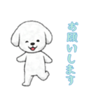 [お願いします専用]ビションフリーゼ（個別スタンプ：6）