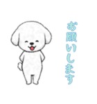 [お願いします専用]ビションフリーゼ（個別スタンプ：8）