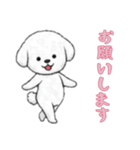 [お願いします専用]ビションフリーゼ（個別スタンプ：12）