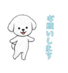 [お願いします専用]ビションフリーゼ（個別スタンプ：13）