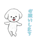 [お願いします専用]ビションフリーゼ（個別スタンプ：16）