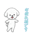 [お疲れ様です専用]ビションフリーゼ（個別スタンプ：1）
