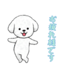 [お疲れ様です専用]ビションフリーゼ（個別スタンプ：2）