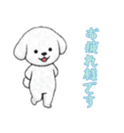 [お疲れ様です専用]ビションフリーゼ（個別スタンプ：3）
