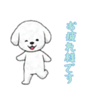 [お疲れ様です専用]ビションフリーゼ（個別スタンプ：4）