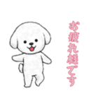 [お疲れ様です専用]ビションフリーゼ（個別スタンプ：5）