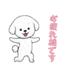 [お疲れ様です専用]ビションフリーゼ（個別スタンプ：7）