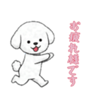 [お疲れ様です専用]ビションフリーゼ（個別スタンプ：8）