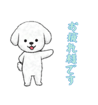 [お疲れ様です専用]ビションフリーゼ（個別スタンプ：9）