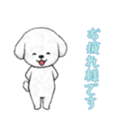 [お疲れ様です専用]ビションフリーゼ（個別スタンプ：10）