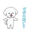 [お疲れ様です専用]ビションフリーゼ（個別スタンプ：11）
