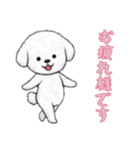 [お疲れ様です専用]ビションフリーゼ（個別スタンプ：13）