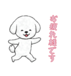 [お疲れ様です専用]ビションフリーゼ（個別スタンプ：14）