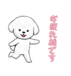 [お疲れ様です専用]ビションフリーゼ（個別スタンプ：16）