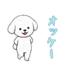 [オッケー専用]ビションフリーゼ（個別スタンプ：2）