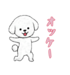 [オッケー専用]ビションフリーゼ（個別スタンプ：3）