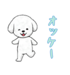 [オッケー専用]ビションフリーゼ（個別スタンプ：4）