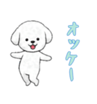 [オッケー専用]ビションフリーゼ（個別スタンプ：5）