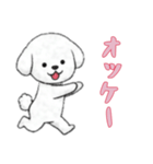 [オッケー専用]ビションフリーゼ（個別スタンプ：6）