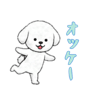 [オッケー専用]ビションフリーゼ（個別スタンプ：10）