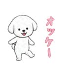 [オッケー専用]ビションフリーゼ（個別スタンプ：11）
