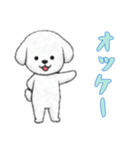 [オッケー専用]ビションフリーゼ（個別スタンプ：13）