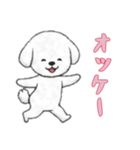 [オッケー専用]ビションフリーゼ（個別スタンプ：14）