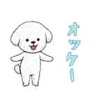 [オッケー専用]ビションフリーゼ（個別スタンプ：15）