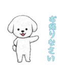 [お帰りなさい専用]ビションフリーゼ（個別スタンプ：1）