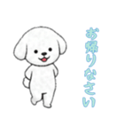 [お帰りなさい専用]ビションフリーゼ（個別スタンプ：2）