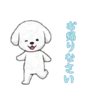 [お帰りなさい専用]ビションフリーゼ（個別スタンプ：3）