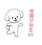 [お帰りなさい専用]ビションフリーゼ（個別スタンプ：4）