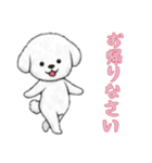 [お帰りなさい専用]ビションフリーゼ（個別スタンプ：5）