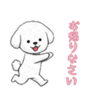 [お帰りなさい専用]ビションフリーゼ（個別スタンプ：6）