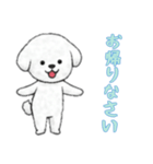 [お帰りなさい専用]ビションフリーゼ（個別スタンプ：9）